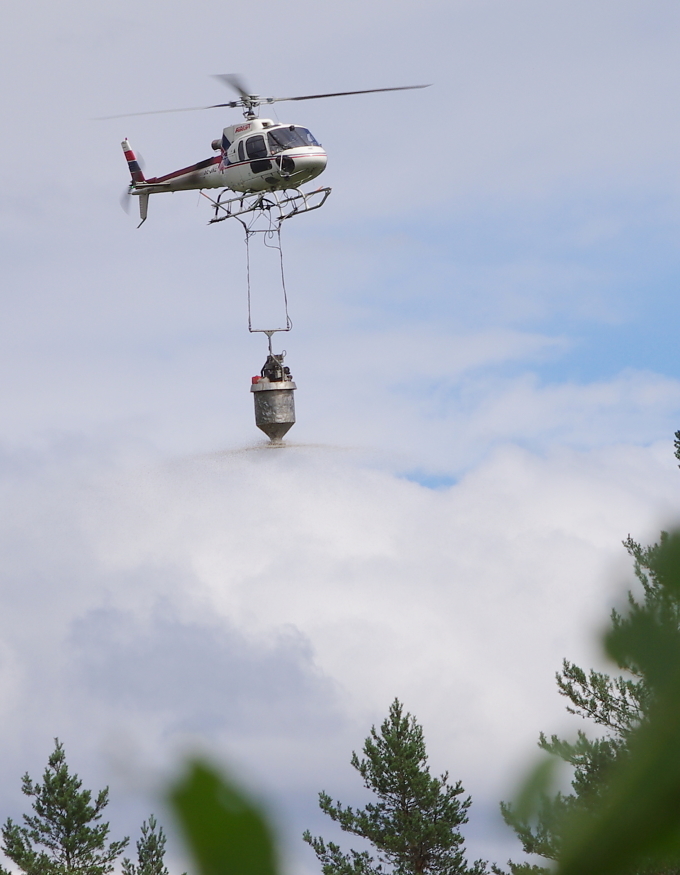 Gjødsling med helikopter. Foto: Atle Veddegjerde, Viken Skog.