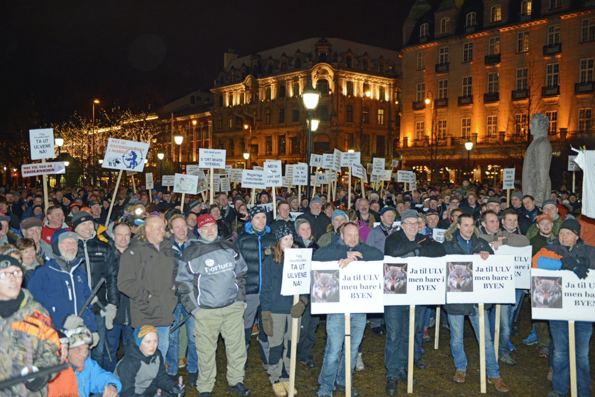"Ja til ulv men bare i byene" var en av parolene under demonstrasjonen.