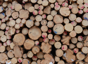 Tømmerprisene økte 1. kvartal