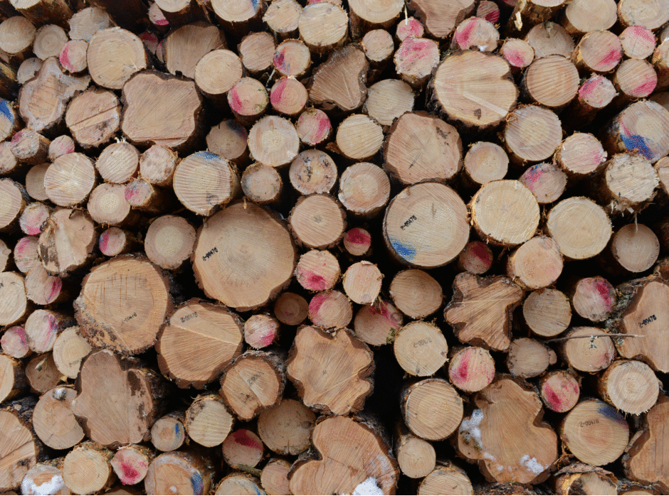 Fremdeles eksporteres tømmer som planlagt, men koronaviruset kan påvirke etterspørselen fra industrien. 