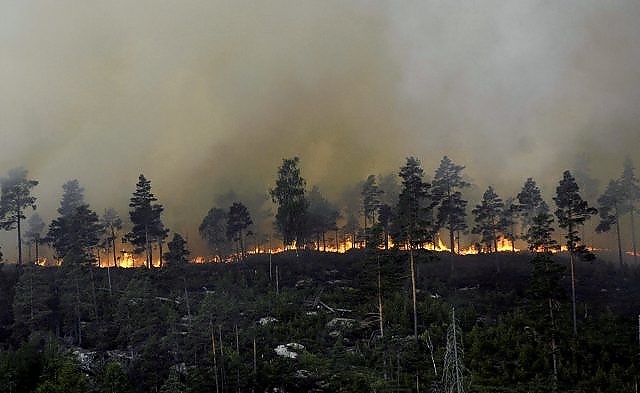 En liten gnist i knusktørr skogbunn kan bli fatal. Her fra skogbrannen på Sørlandet. Foto: Agderposten. 