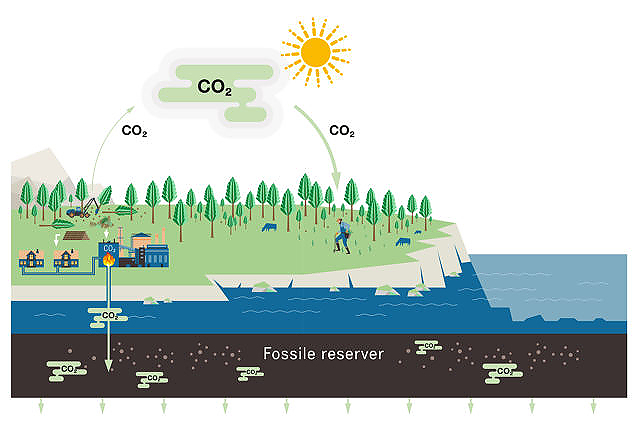 KARBONNEGATIVT KRETSLØP: Skogplanting og bioenergi med karbonfangst og -lagring er to tiltak som bidrar til å fjerne CO2 fra atmosfæren.