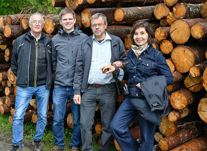 Ulovlig tømmerimport kan skade skogen