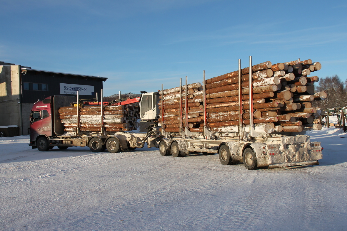 Tømmervogntog med 60 tonn totalvekt 