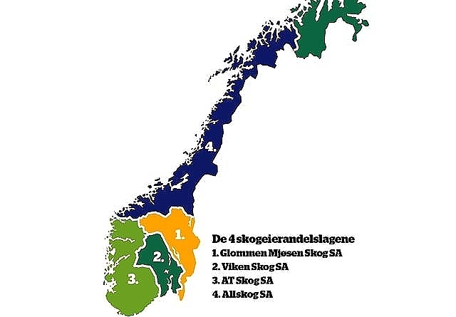 De fire skogeierandelslagene.