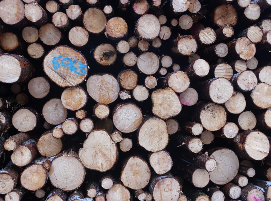 Hvis StoraEnso øker kapasiteten så kraftig, så kan norske skogeiere få levert mer massevirke. Men, hva med vår egen  trebaserte industri? Illustrasjonsfoto: Roar Ree Kirkevold