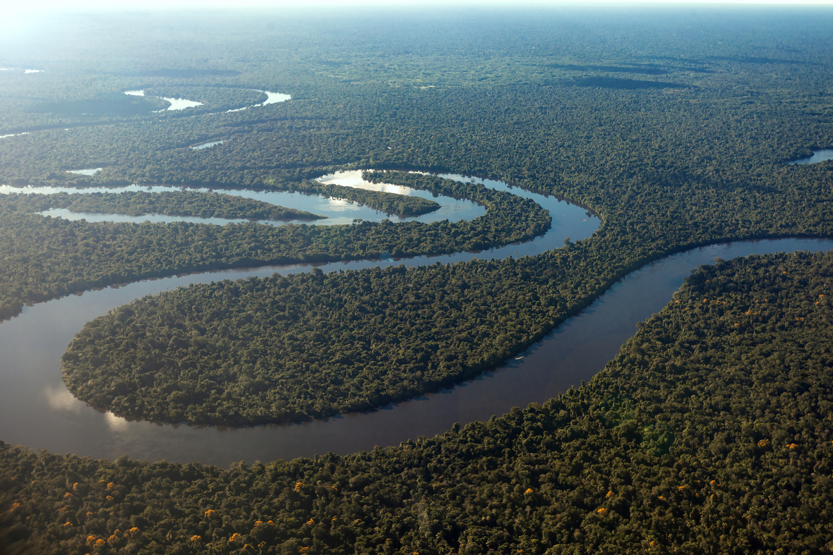 Amazonasregnskogen er verdens største regnskog og ligger i Sør-Amerika. 
