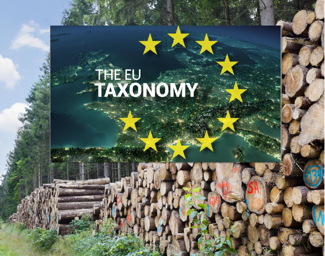 Webinaret «Hva betyr EU Taksonomi for norsk skog- og trenæring?» holdes tirsdag 22. juni fra klokka 12-13. 