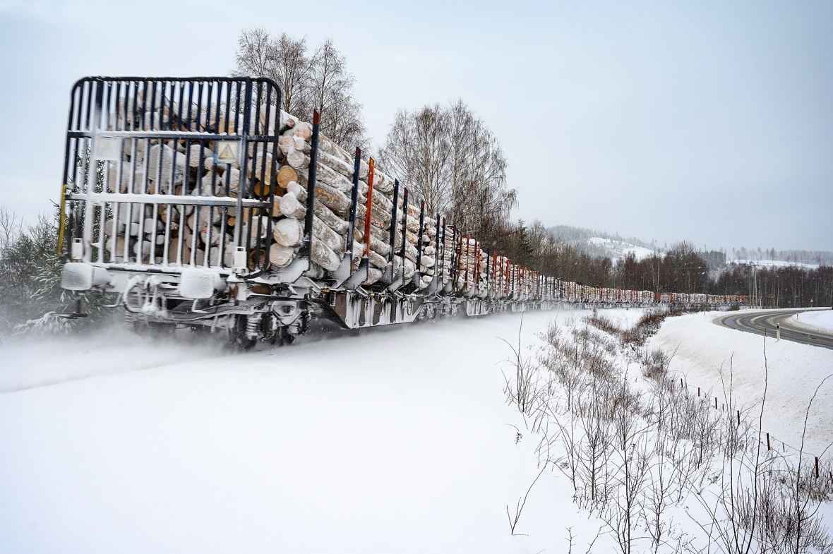 I dag blir om lag halvparten av alt massevirke i Norge transport på tog. Foto: Øystein Grue/Jernbanedirektoratet