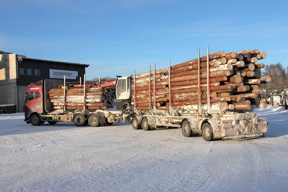 Sjuakslet tømmervogntog med 60 tonn totalvekt. 