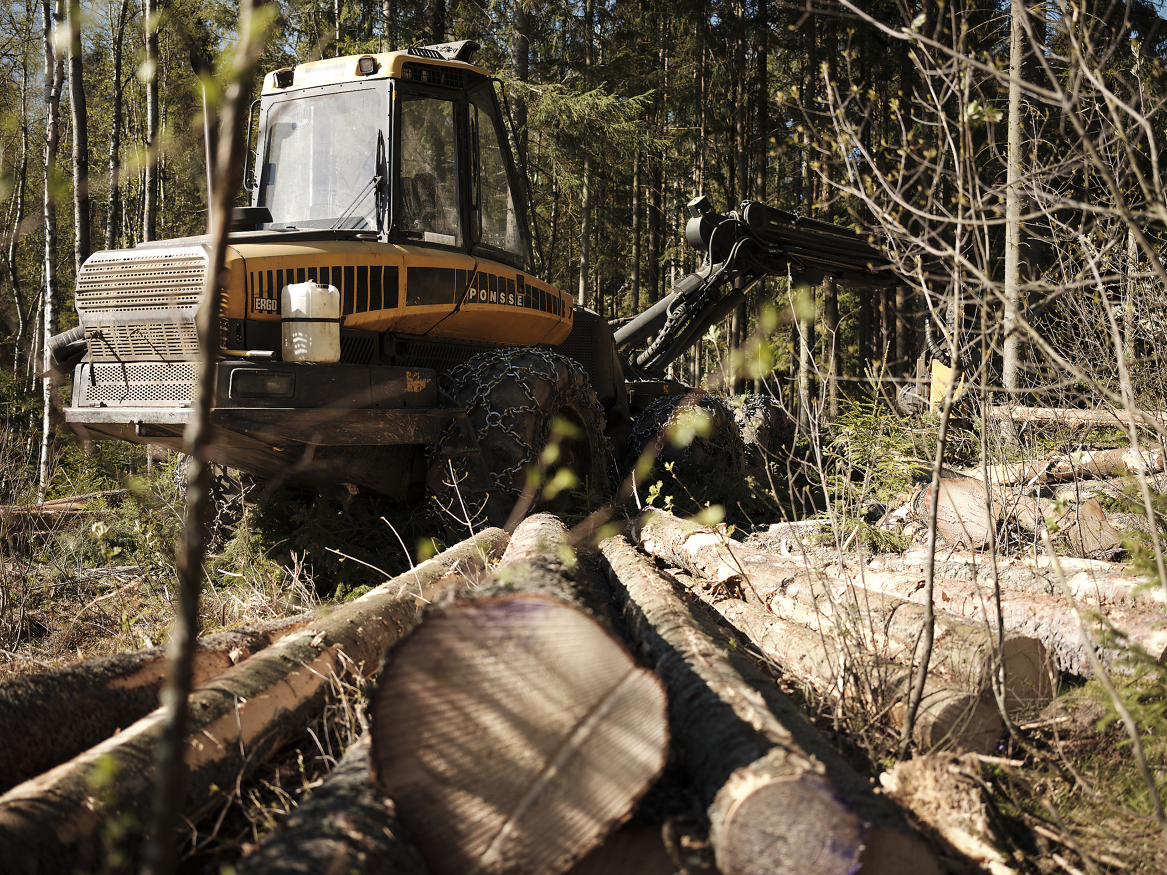 I forslaget til statsbudsjett for 2022 legges det opp til store kutt for norsk skogbruk.