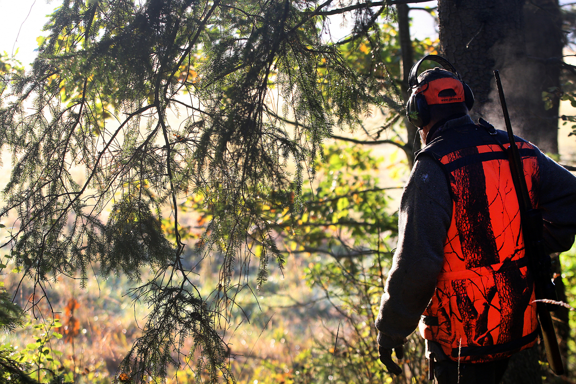 Skogeierforbundet mener det er avgjørende at Norge tar vare på de gode tradisjonene vi har for å kombinere bruk og vern av skogen, som for eksempel å kunne jakte i vernede områder.