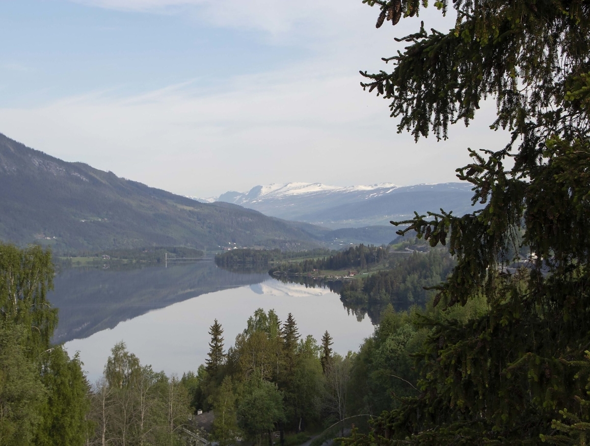 Vi har tre ganger så mye skog i Norge nå som det vi hadde for hundre år siden.