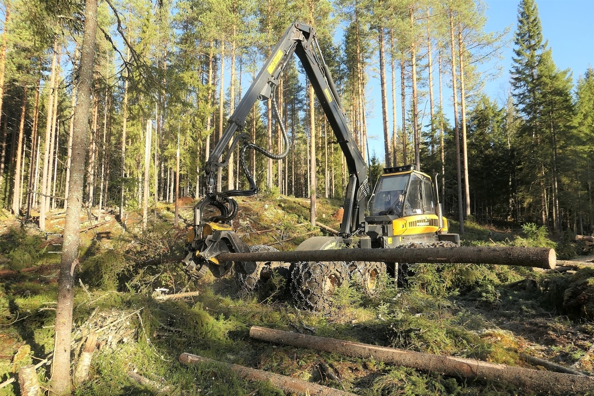 Norges Skogeierforbund er en sentral overbygning for fire skogeiersamvirker og rundt 30 000 skogeiere over hele landet.