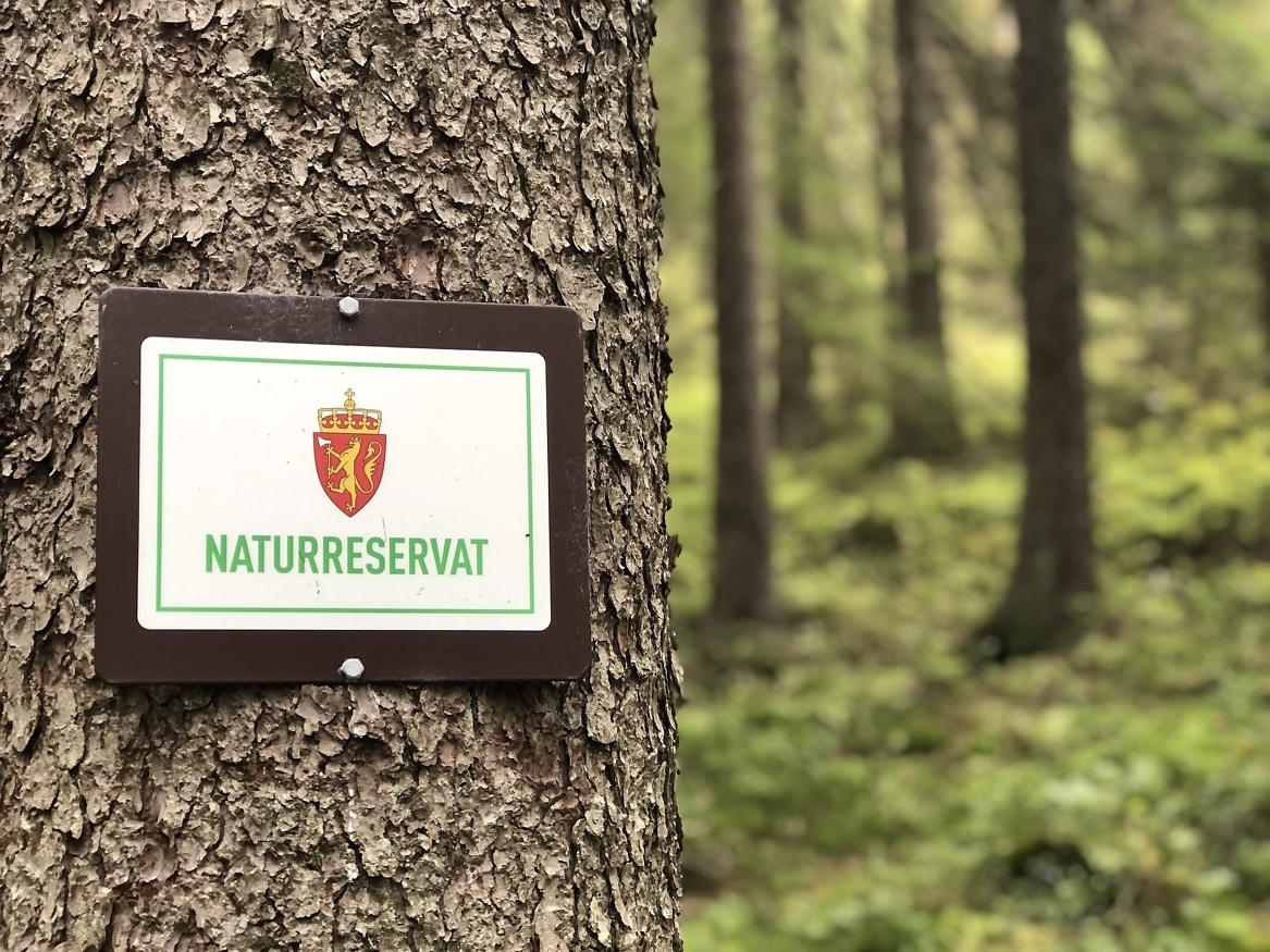 Vern er ett av flere tiltak for å ta vare på det biologiske mangfoldet i skogen, og i Norge er naturreservat den vanligste verneformen i skog. Vern av skog som naturreservat innebærer at skogområdene båndlegges for all fremtid, og skogsdrift er ikke tillatt. 