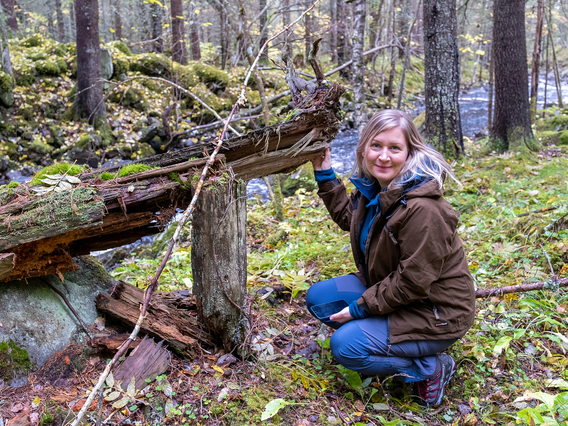 Mari Bolkesjø har forskjellige typer skog på eiendommen. Her viser hun fram et område som skal få utvikle seg fritt – kun påvirket av vær og vind.
