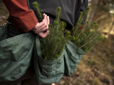 Norske skogeiere har klare forventninger til naturmeldingen