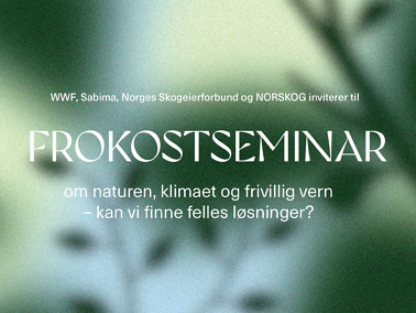 Frokostseminar om fremtidens skogbruk