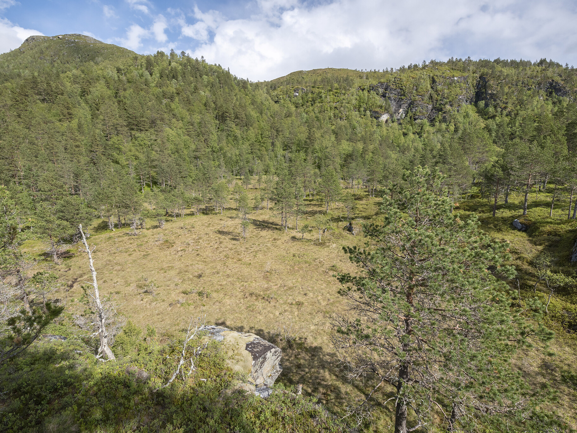 Naturskogkartet gir et kunnskapsgrunnlag om eldre skog i Norge. 