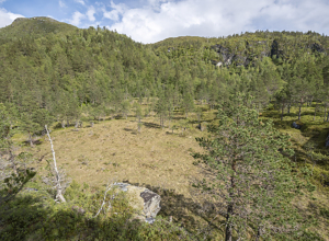 Nytt naturskogkart: Et viktig verktøy med klare begrensninger