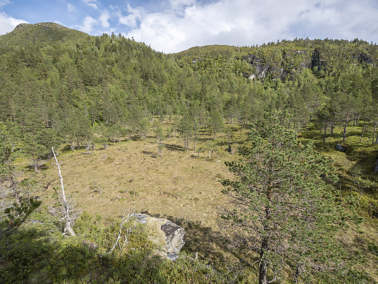 Nytt naturskogkart: Et viktig verktøy med klare begrensninger