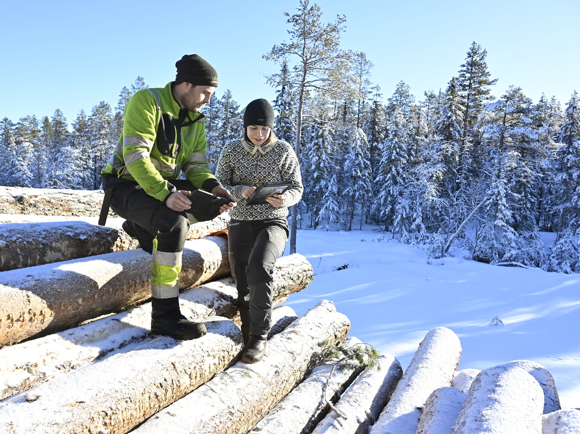 STORE VERDIER: Skogbruksleder Viil Flaata
i Viken Skog og skogsentreprenør i Nore og
Uvdal, Knut Sigurd Brekke, detaljplanlegger
tømmerdriftene slik at så mye som mulig
av verdiene tas ut før biller og
tørke reduserer
dem kraftig.