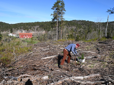 Olav (89) planter for fremtiden