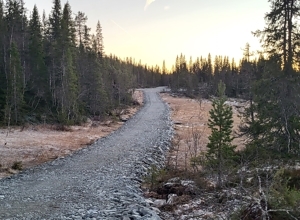 La oss ikke gå oss fast i myra