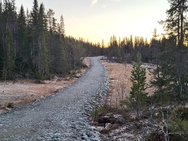 La oss ikke gå oss fast i myra