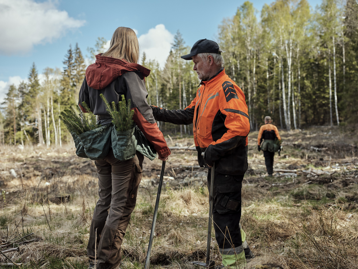 Norsk skogbruk er sertifisert og følger strenge miljøkrav året rundt.